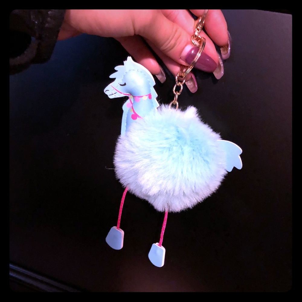 Fluffy Pom Pom keychain